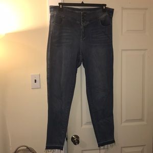 Lane Bryant High Waisted Super Skinny Denim Jeans